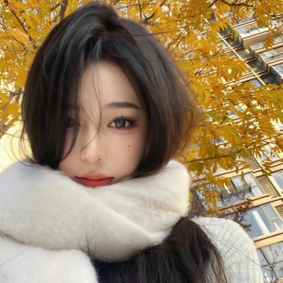 影子军队