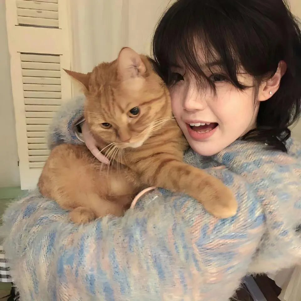 丽莎·弗兰肯斯坦