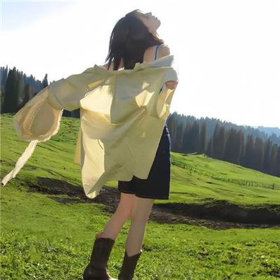 西部战线